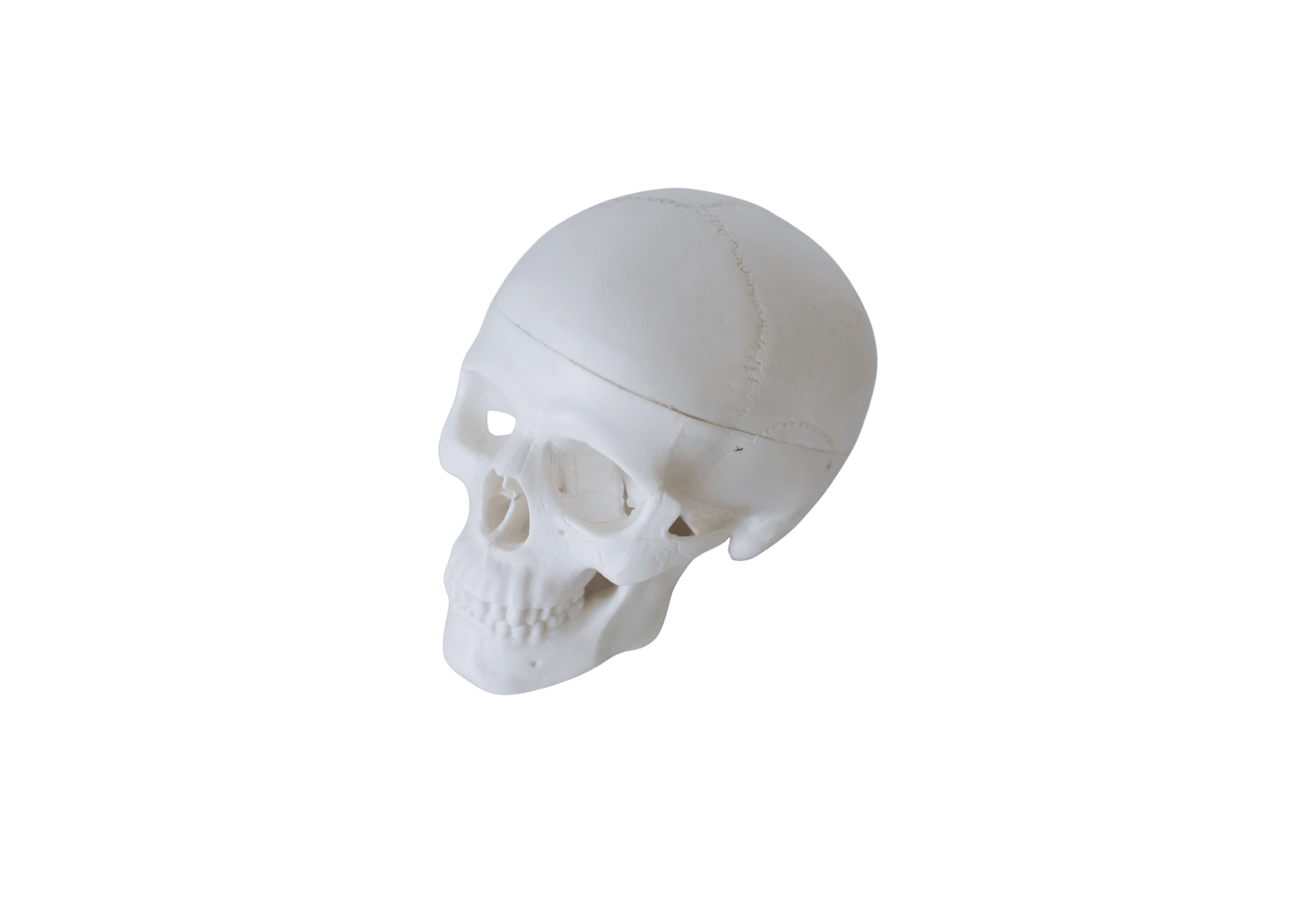 White Simple Business Model Poster (1)